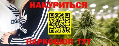 амф Бийск