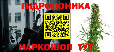 амф Бийск