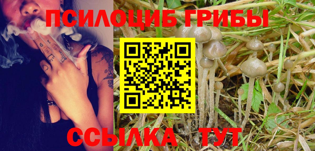Псилоцибиновые грибы Magic Shrooms Карталы