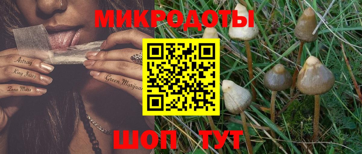 Псилоцибиновые грибы Magic Shrooms  Вход с VPN  Галлюциногенные грибы MAGIC MUSHROOMS  что такое наркотик  Карталы 